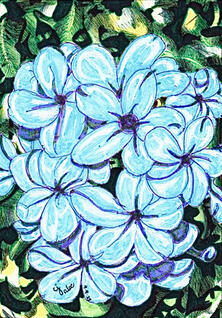 Blue Flowers